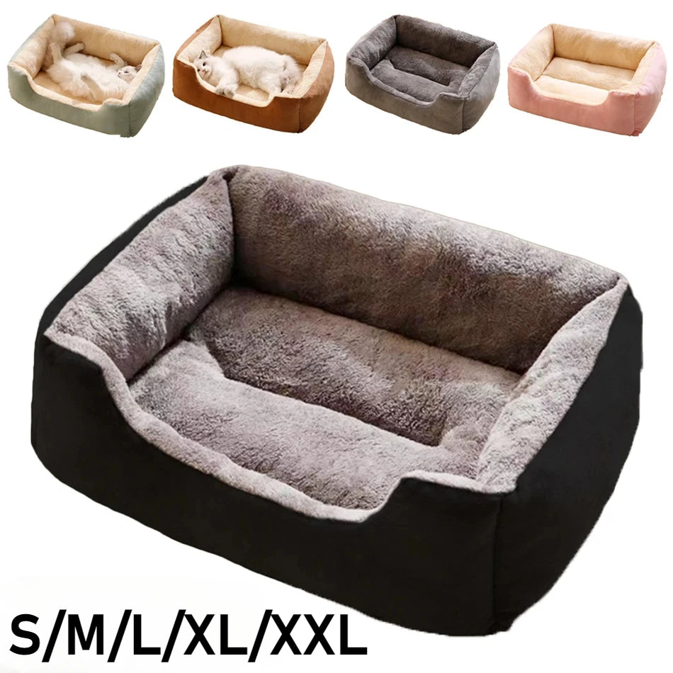 Bed for Cats Pet Products Cushions Kitten Goods Accessories Dog All Home Supplies Things Accessory Habitats Basket House Beds Beauty World Shop