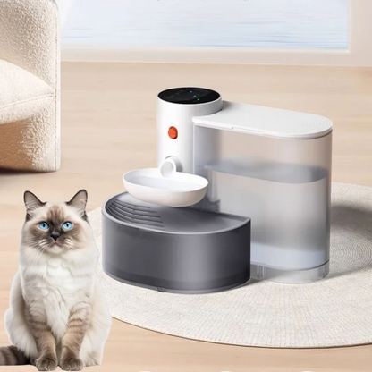 Smart Dump Cat Water Dispenser Running Water Rechargeable Automatic Water Dispenser For Pet Dogs Beauty World Shop