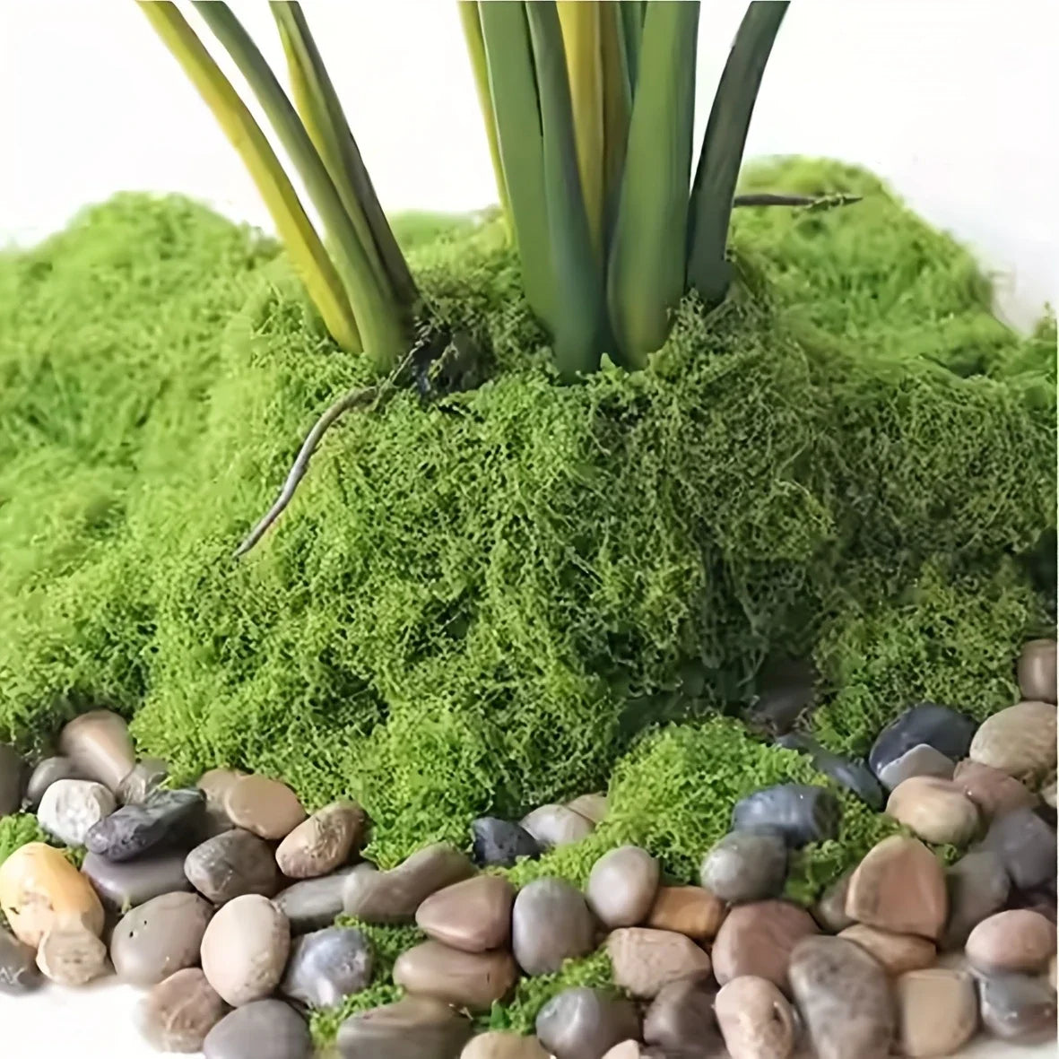 50g Fake Moss DIY Crafts Grass Artificial Moss Faux Preserved Moss Green Plants Home Room Garden Decor Mini Landscape Fake Grass Beauty World Shop