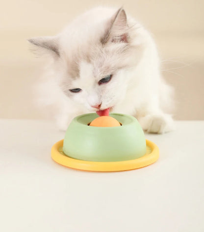 Interactive Pet Cat Licking Food Toys Anti-slip Pet Slow Feeder for Cats Funny Kitten Licking Plate Cat Accessories Beauty World Shop
