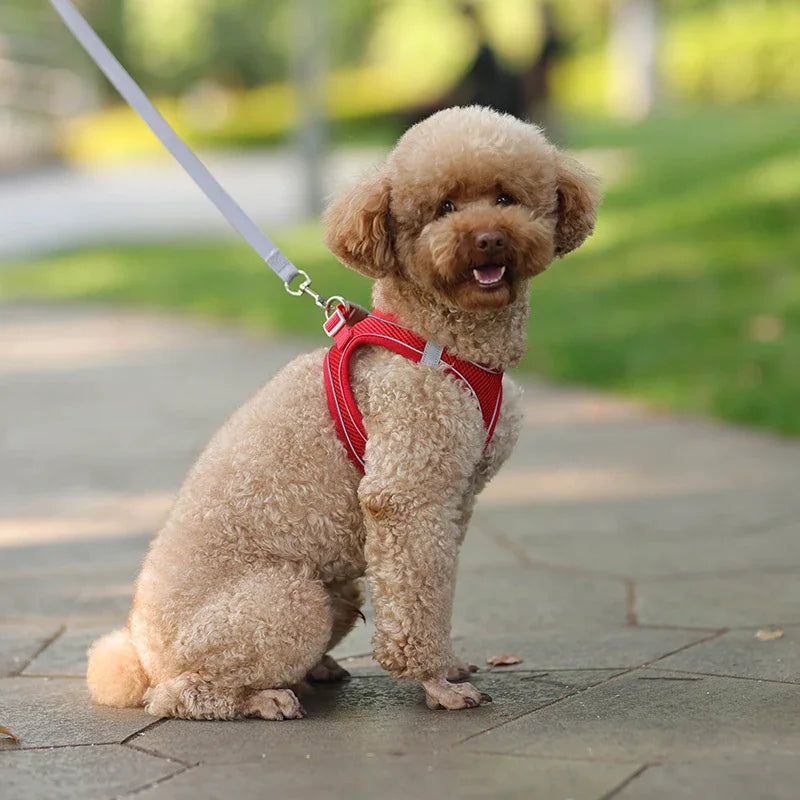 Puppy Harness Set Dog Accessories Adjustable Puppy and Cat Harness Vest French Bulldog Chihuahua Small Dog Collar Pet Leash Dogs Beauty World Shop