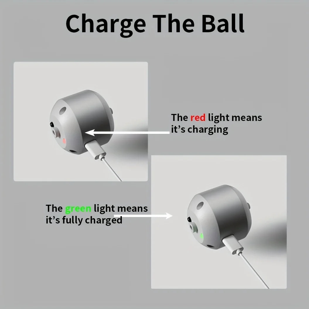 Smart Dog Toy Ball Electronic Interactive Pet Toy Ball USB Automatic Bouncing Rolling Toy Ball With RGB Lights Puppy Cat Product Beauty World Shop