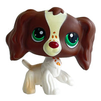 Spaniel 156