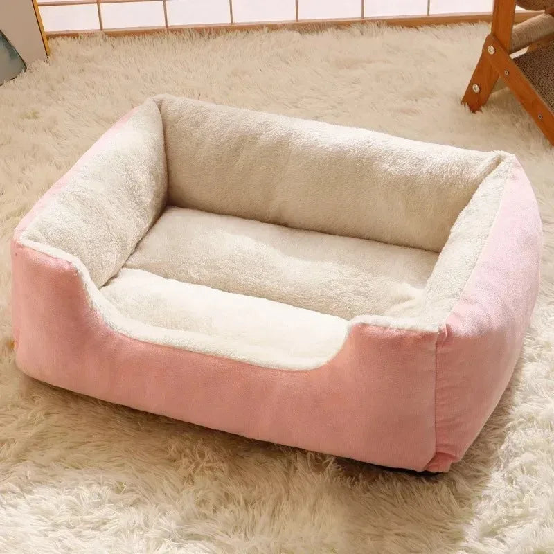 Bed for Cats Pet Products Cushions Kitten Goods Accessories Dog All Home Supplies Things Accessory Habitats Basket House Beds Beauty World Shop