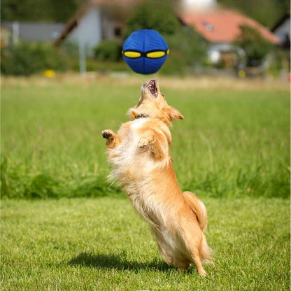Flying Saucer Bouncing Ball Is A Durable Elastic and Fun Dog Pet Toy Suitable for Outdoor Activities and Exercise Beauty World Shop