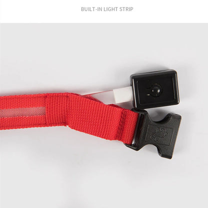 USB Rechargeable Luminous Collar Adjustable Led Glowing Dog Collar for Large Small Dogs Cat Night Light Collar Pet Safety Harnes Beauty World Shop