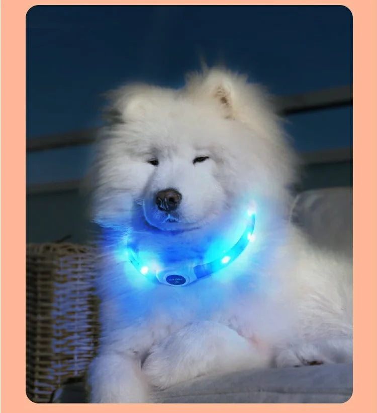 New Led Luminous Dog Collar PVC Waterproof , For Large Medium Small Dogs Collar Usb Light Night Safety Pet Glowing Accessories Beauty World Shop