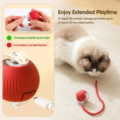 Cat Interactive Ball Toy, Automatic Rolling Ball with Tail, Rechargeable Smart Pet Interactive Toy, Intelligent Mouse for Cat Beauty World Shop