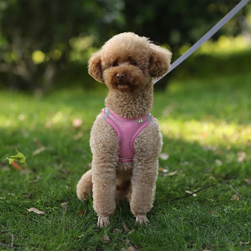Puppy Harness Set Dog Accessories Adjustable Puppy and Cat Harness Vest French Bulldog Chihuahua Small Dog Collar Pet Leash Dogs Beauty World Shop