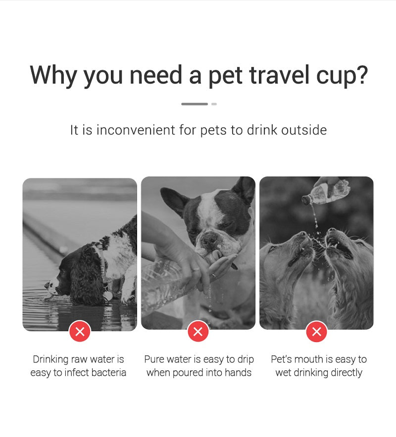 Portable Dog Water Bottle For Small Large Dogs Cat Outdoor Leakproof Walking Drinking Bowls Chihuahua French Bulldog Supplies Beauty World Shop