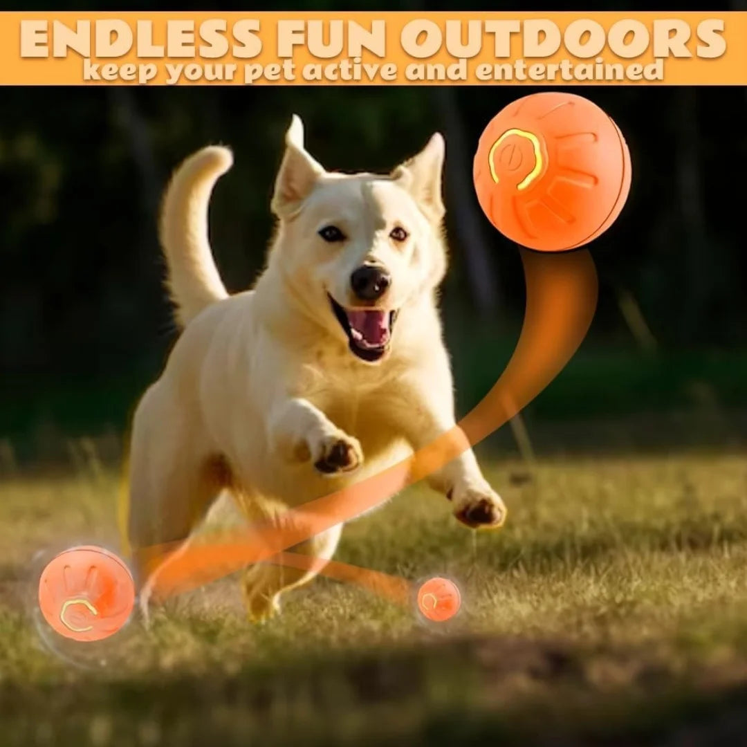 Pet toys Gravity Electric Amusement Pet Ball Smart Bouncing Ball For Dogs and Cats Beauty World Shop