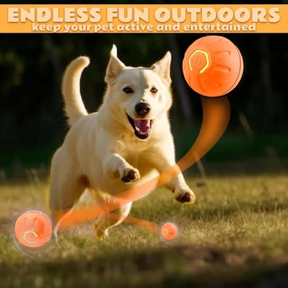 Pet toys Gravity Electric Amusement Pet Ball Smart Bouncing Ball For Dogs and Cats Beauty World Shop