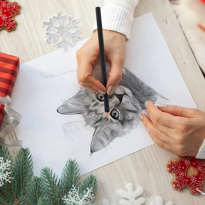29Pcs Drawing Kit Sketching Pencils Set,Portable Pen Curtain-Charcoal Pencils, Sketch Pencils, Charcoal Stick,Sharpener,Eraser Beauty World Shop