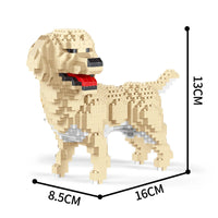 B Retriever in bag