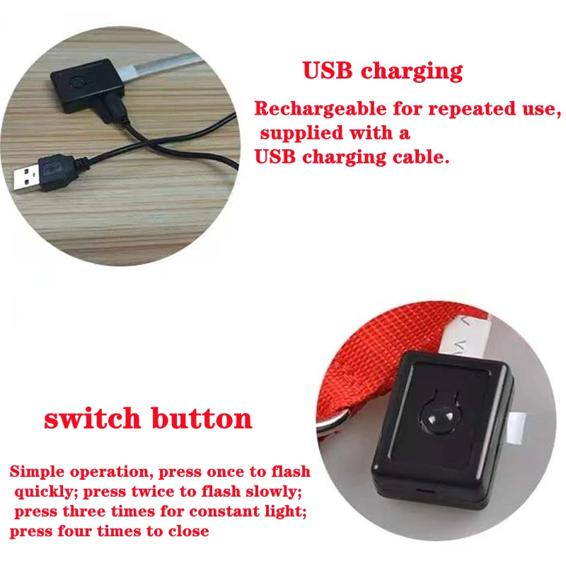 Usb Charging Glowing Dog Collar With Pendant Detachable Luxury Led Light Bright For Small Dogs Cat Night Safety Collar Wholesale Beauty World Shop