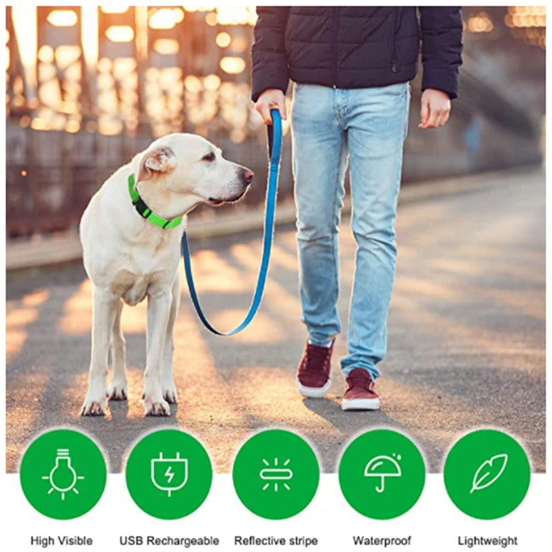 Usb Charging Glowing Dog Collar With Pendant Detachable Luxury Led Light Bright For Small Dogs Cat Night Safety Collar Wholesale Beauty World Shop