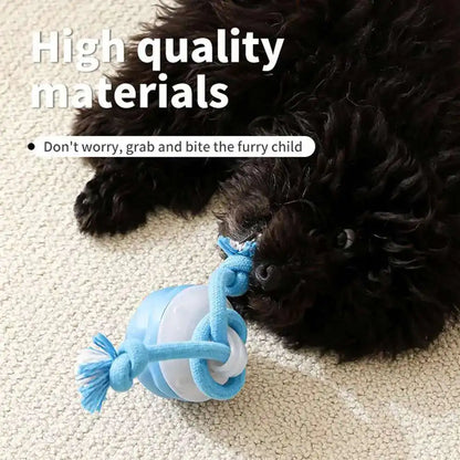 Interactive Dog Toys Smart Rolling Ball With Rope Motion Activated Automatic Moving Squeaky Dog Training Puppy Chew Toy Balls Beauty World Shop