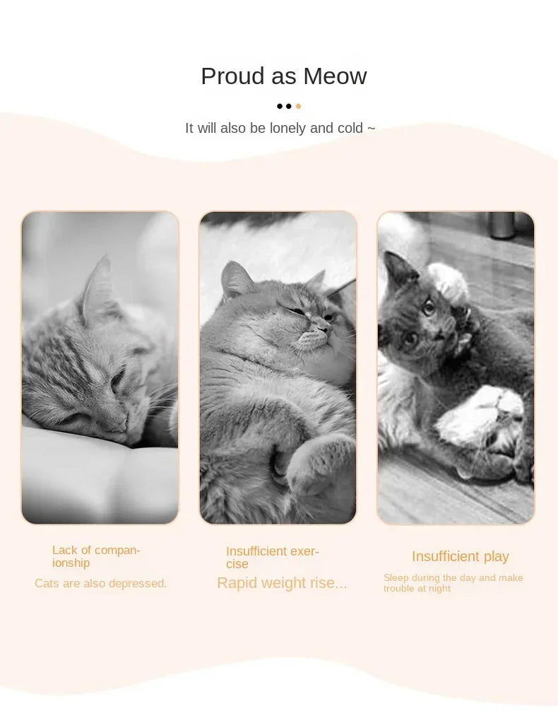 7pcs Random Cat Toy Swing Sticky Disc Elastic Hanging Door Teasing Cat Rope Long Rope Teasing Cat Cat Toy Cat Accessories