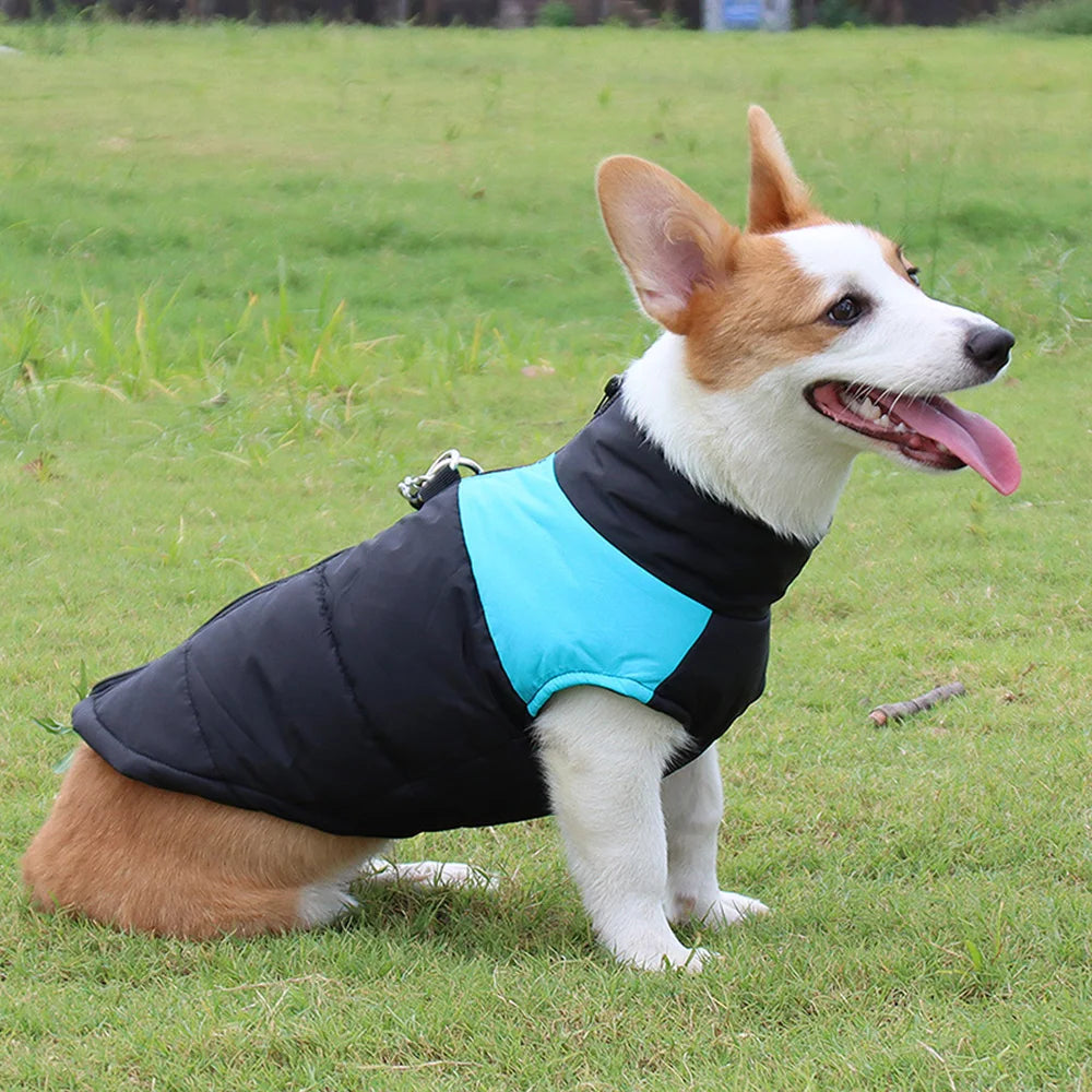 Waterproof Pet Dog Coat Vest For Small Large Dogs Winter Warm Puppy Clothes with D-ring Kitten Costume Golden Retriever Jacket