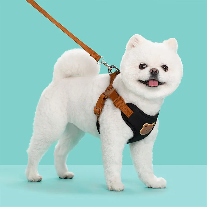 Pet Dog Harness Leash Set Small Medium Dog Cat Vest Breathable Puppy Chest Strap French Bulldog Chihuahua Harness Pet Supplies Beauty World Shop