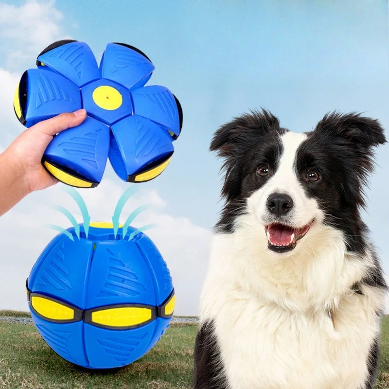 Flying Saucer Bouncing Ball Is A Durable Elastic and Fun Dog Pet Toy Suitable for Outdoor Activities and Exercise Beauty World Shop
