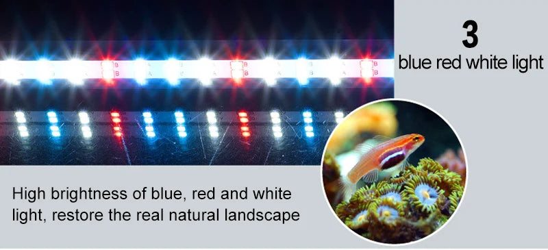 Waterproof LED Aquarium Light Fish Tank Underwater Lamp Clip Light Aquariums Decor Lighting Submersible Lamp Plant Grow 220-240V Beauty World Shop