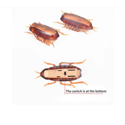 Funny Simulation of Cockroaches Pet Cat Dog Kitten Interactive Training Play Toy Beauty World Shop