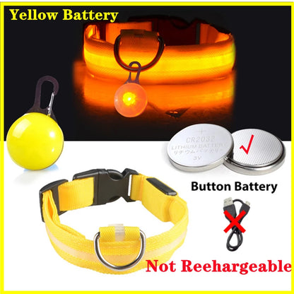 Usb Charging Glowing Dog Collar With Pendant Detachable Luxury Led Light Bright For Small Dogs Cat Night Safety Collar Wholesale Beauty World Shop