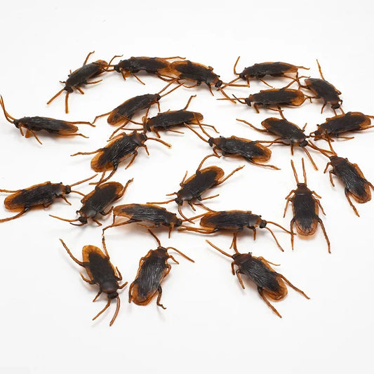 Special Lifelike Model Simulation Fake Rubber Cock Cockroach Roach Bug Roaches Toy Prank Funny Trick Joke Toys April Fools Prank Beauty World Shop