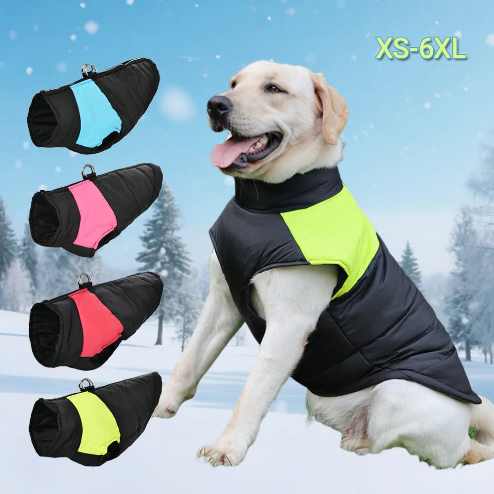 Pet Dog Jacket Warm Winter Clothes For Small Large Dogs Labrador Coat Windproof Waterproof Puppy Costume Vest With D-ring Pug Beauty World Shop