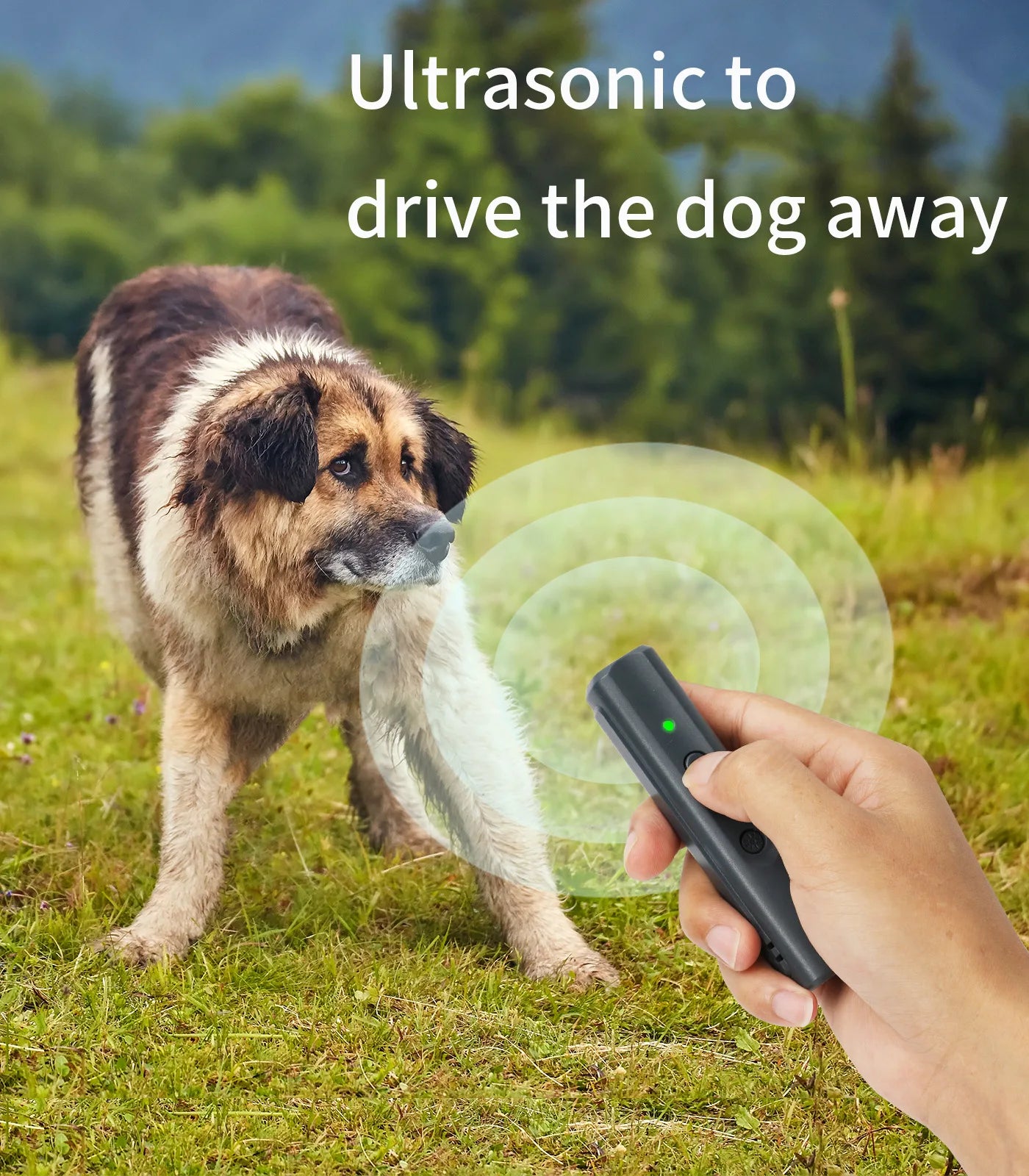 High Power Ultrasonic Dog Repeller Trainer Anti Barking LED Dog Deterrent Device Pet Dog Training Remote Control With UV LAMP Beauty World Shop