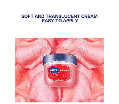 8/6/4pcs Moisturizing Lip Balm Set Lip Care Moisturizing Base Natural Plant Base Moisturizing Crack Lip Care Jelly Moisturizer Beauty Fashion