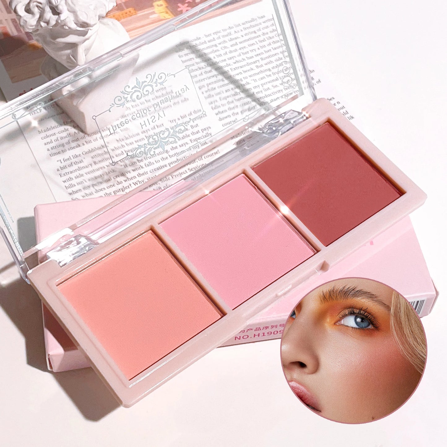 HISYI three-color blush natural color rendering delicate non-flying powder matte rouge holding makeup clear vitality girl blush Beauty World Shop