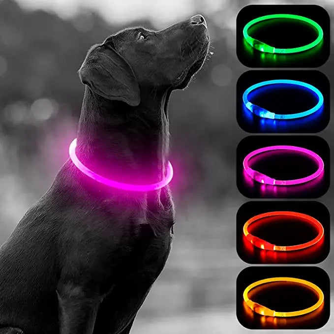 Luminous Dog Collar Light Charge Cat Necklace, Led Fashion Flashing DIY Glowing Safety Collar for Dogs Nighttime Pet Accessorie Beauty World Shop