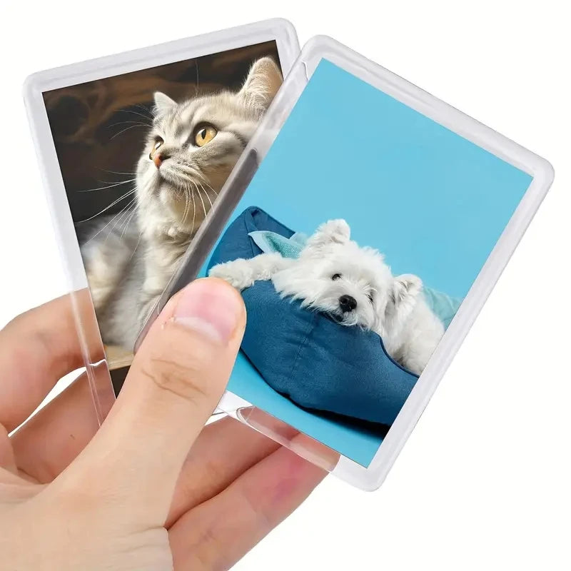 Small photo frame 12/20Pcs Blank Photo Frame Insert Fridge Magnets, Mini Magnetic Refrigerator Photo Picture Frames Beauty World Shop