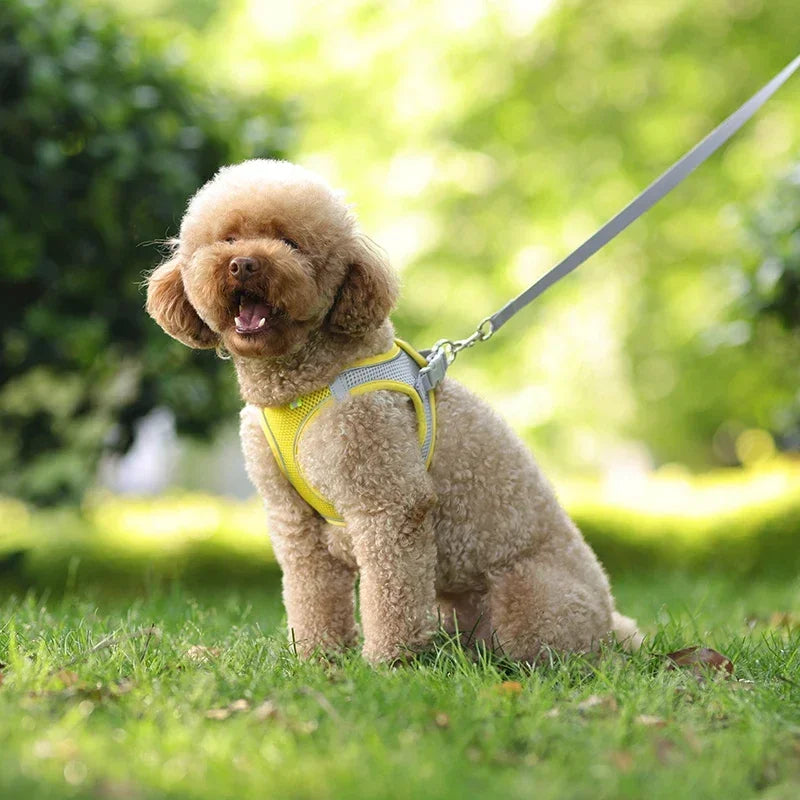 Puppy Harness Set Dog Accessories Adjustable Pet Vest Dogs French Bulldog Chihuahua Small Dog Collar Supplies Products Home Beauty World Shop