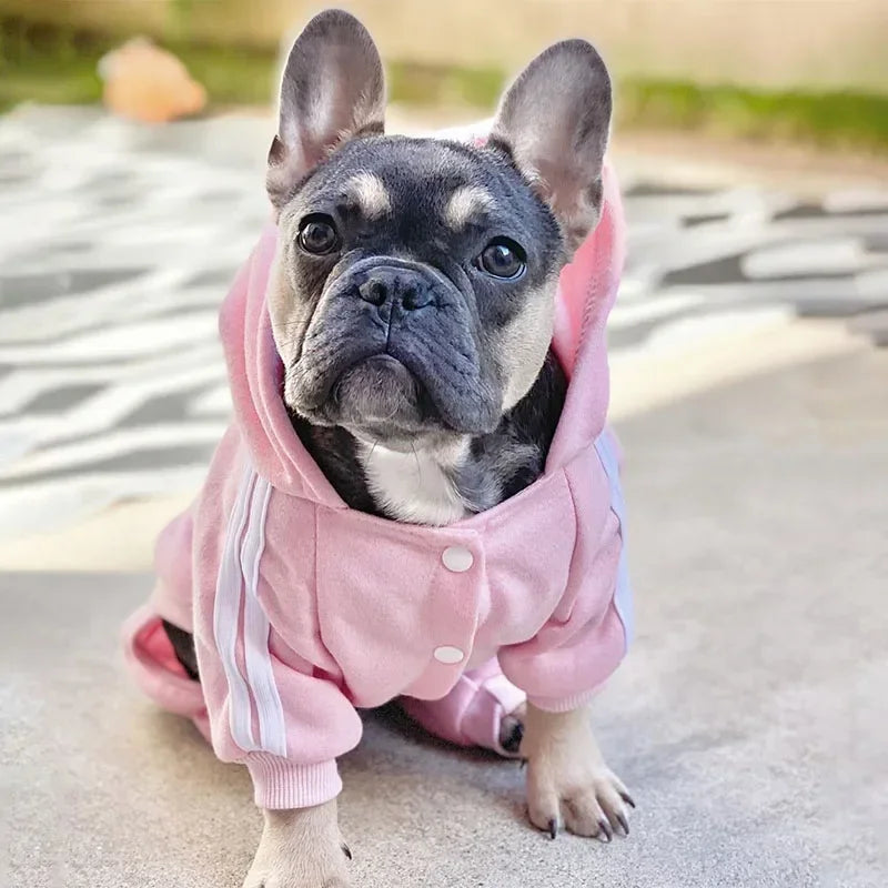 Pet Clothes French Bulldog Puppy Dog Costume Pet Jumpsuit Chihuahua Pug Pets Dogs Clothing for Small Medium Dogs Puppy Outfit Beauty World Shop