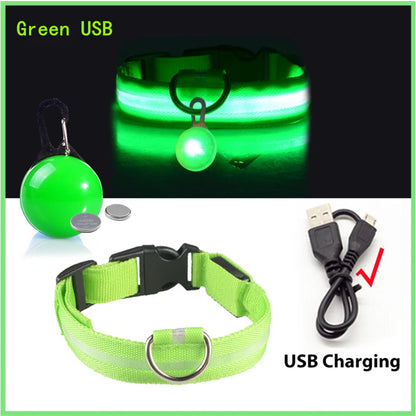 Usb Charging Glowing Dog Collar With Pendant Detachable Luxury Led Light Bright For Small Dogs Cat Night Safety Collar Wholesale Beauty World Shop