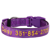 DPurple