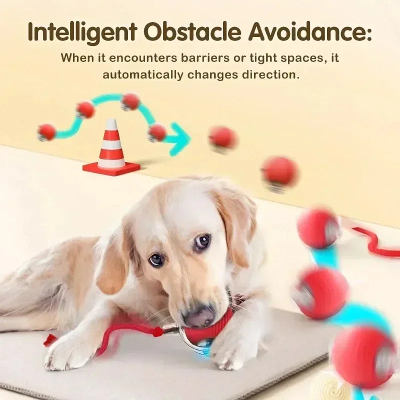 Cat Interactive Ball Toy, Automatic Rolling Ball with Tail, Rechargeable Smart Pet Interactive Toy, Intelligent Mouse for Cat Beauty World Shop
