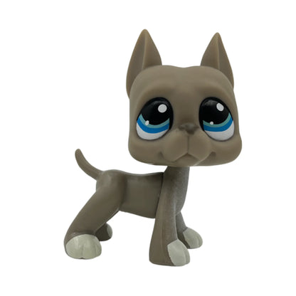 Rare pet toy Stands Short Hair Kitten Dog Dachshund Collie Spaniel Great Dane Original Bobble head toy lps Beauty World Shop