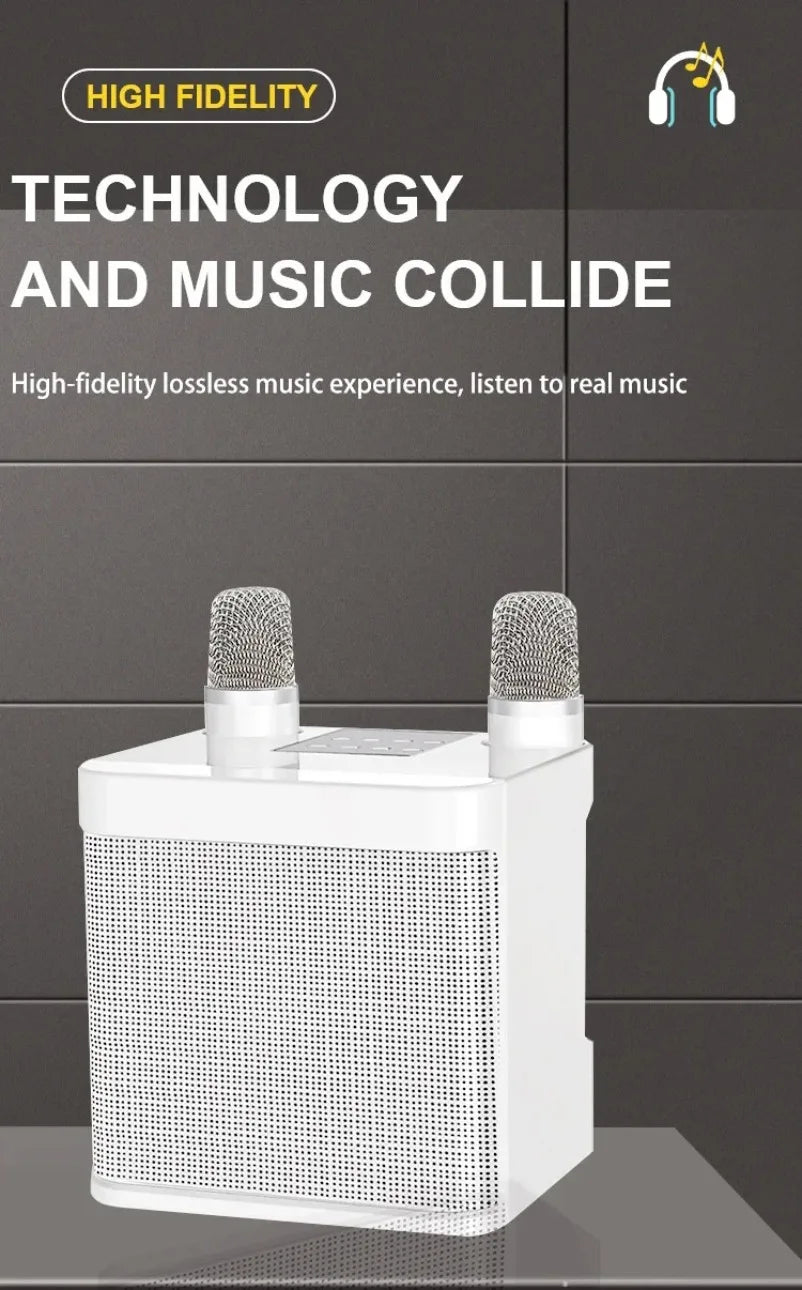 10W Powerful Wireless Portable Dual Microphone Bluetooth Sound Outdoor Family Party Karaoke Subwoofer Boom Box with 2 Microphone