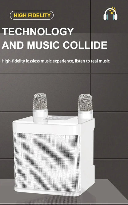 10W Powerful Wireless Portable Dual Microphone Bluetooth Sound Outdoor Family Party Karaoke Subwoofer Boom Box with 2 Microphone