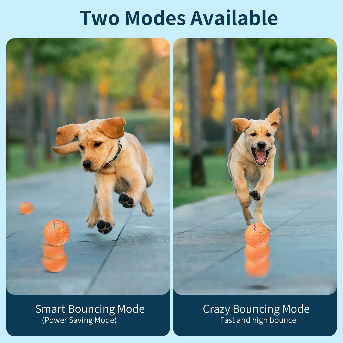 Smart Dog Toy Ball Electronic Interactive Pet Toy Ball USB Automatic Bouncing Rolling Toy Ball With RGB Lights Puppy Cat Product Beauty World Shop