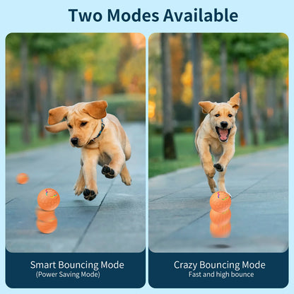 Smart Dog Toy Ball Electronic Interactive Pet Toy Ball USB Automatic Bouncing Rolling Toy Ball With RGB Lights Puppy Cat Product Beauty World Shop