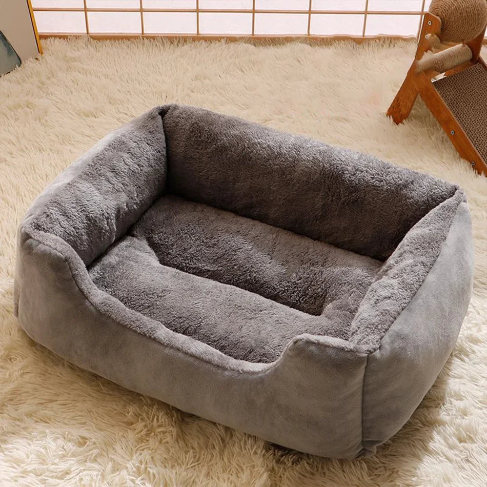 Bed for Cats Pet Products Cushions Kitten Goods Accessories Dog All Home Supplies Things Accessory Habitats Basket House Beds Beauty World Shop