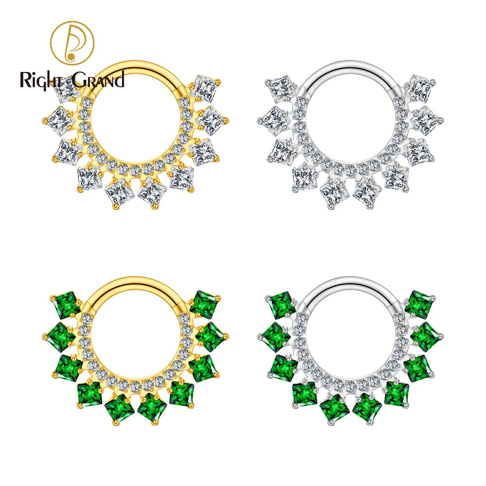 Right Grand ASTM F136 Titanium 16G CZ Hinged Clicker Segment Hoop Ring 8mm/10mm Daith Helix Earring Septum Nose Piercing Jewelry Beauty World Shop