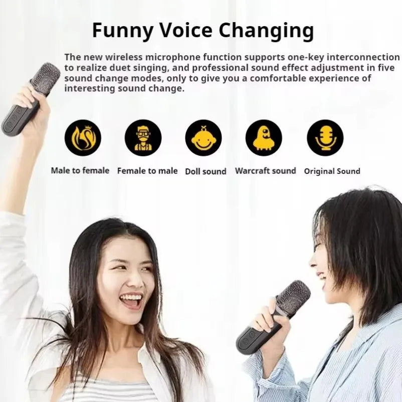 10W Powerful Wireless Portable Dual Microphone Bluetooth Sound Outdoor Family Party Karaoke Subwoofer Boom Box with 2 Microphone