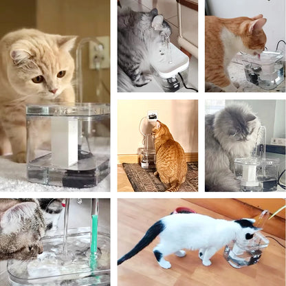Cat Water Fountain Auto Filter Transparent Cat Drinker USB Electric Mute Recirculate Filtering Drinker for Cats Water Dispenser Beauty World Shop