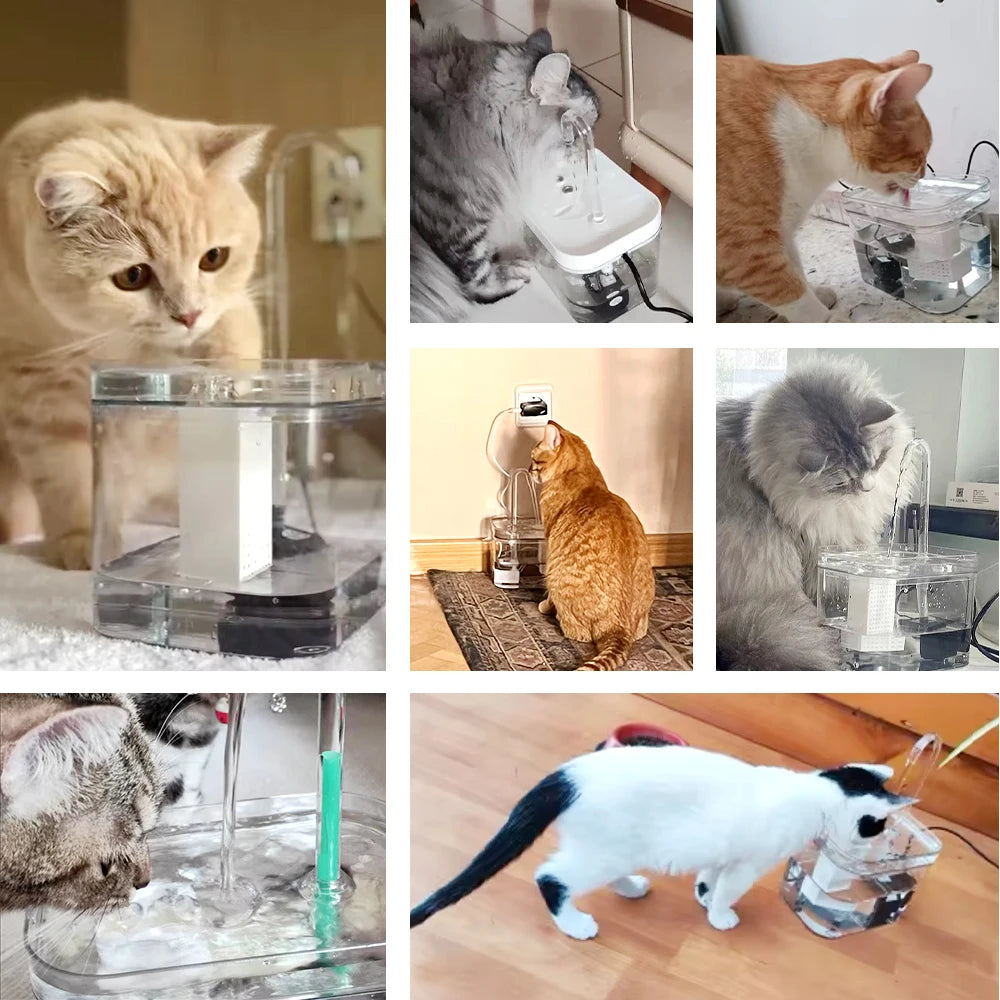 Cat Water Fountain Auto Filter Transparent Cat Drinker USB Electric Mute Recirculate Filtering Drinker for Cats Water Dispenser Beauty World Shop